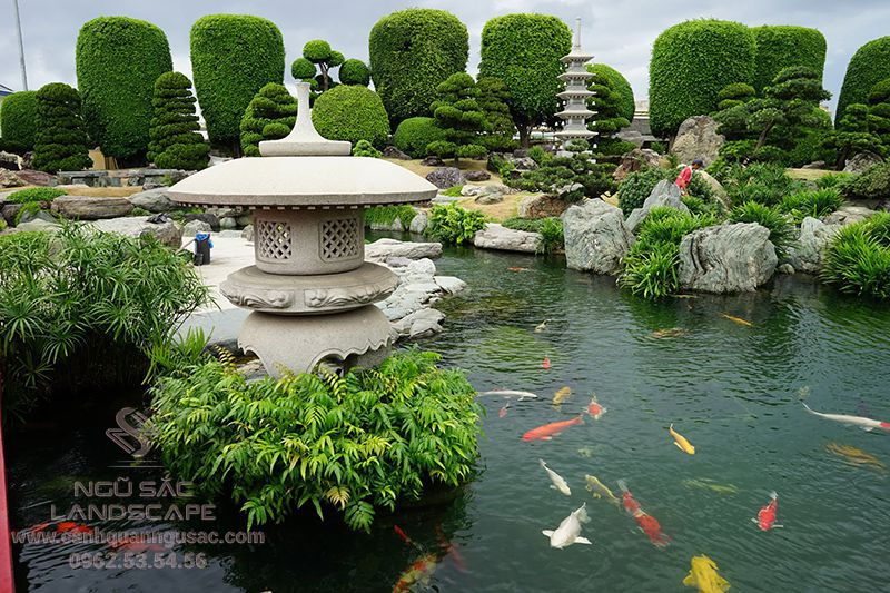 Hồ nuôi cá trong sân vườn Nhật Bản