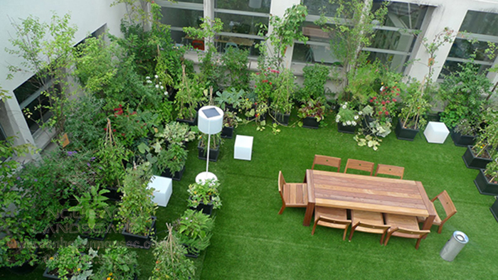 Tận hưởng không gian xanh tươi mát với vườn trên sân thượng